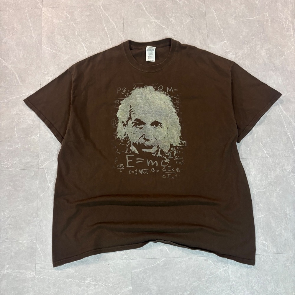 Gildan Mens Albert Einstein Physics‎ Equation Graphic T-Shirt Brown 2XL E=mc2